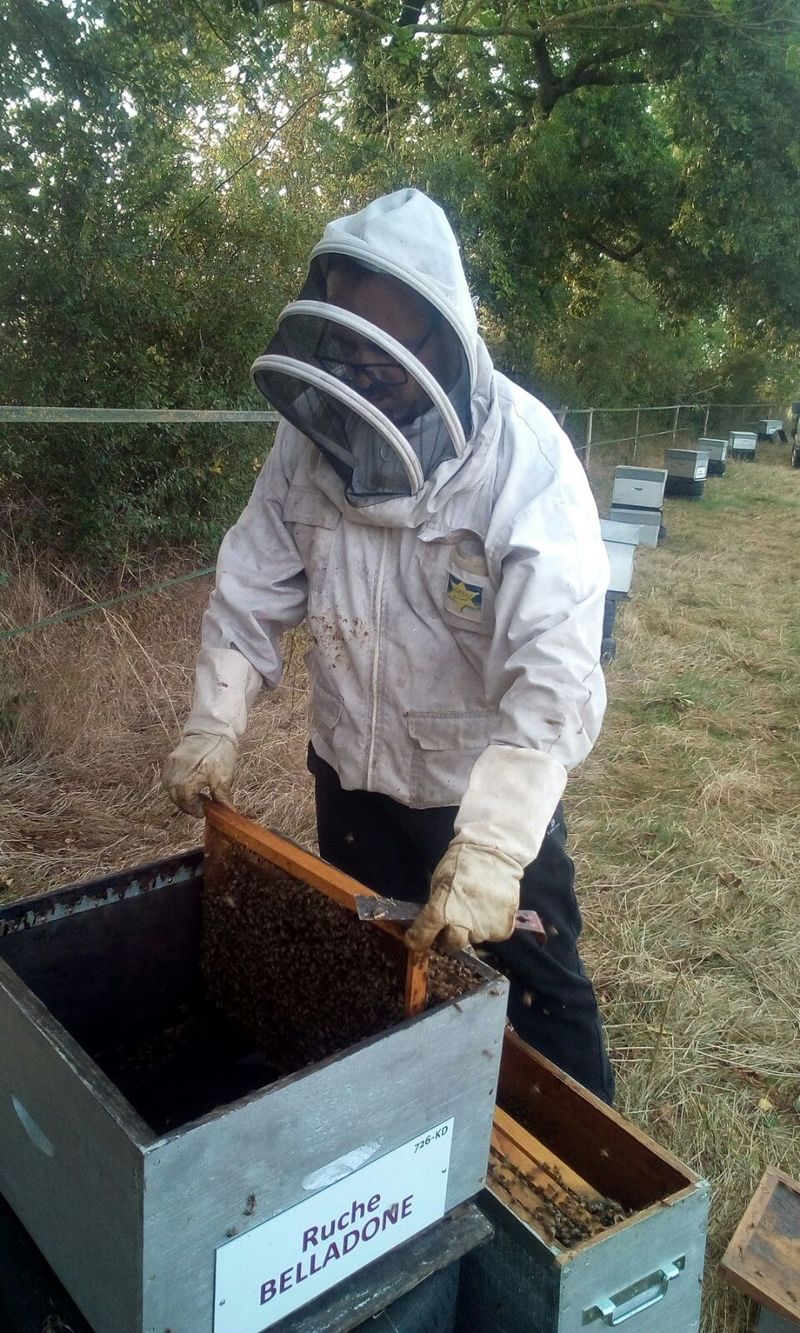 La ruche Belladone