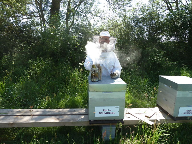 La ruche Belladone