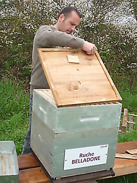 La ruche Belladone