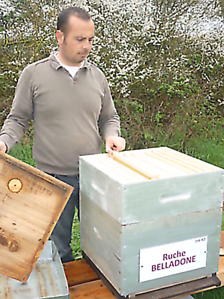 La ruche Belladone