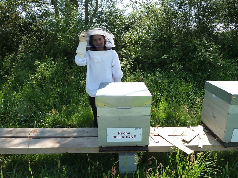 La ruche Belladone