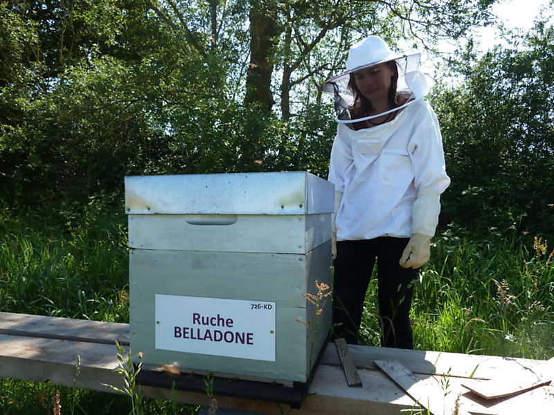 La ruche Belladone