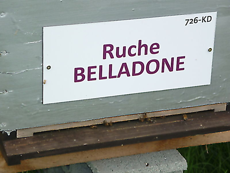 La ruche Belladone