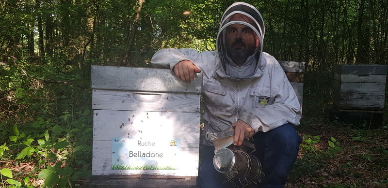 La ruche Belladone