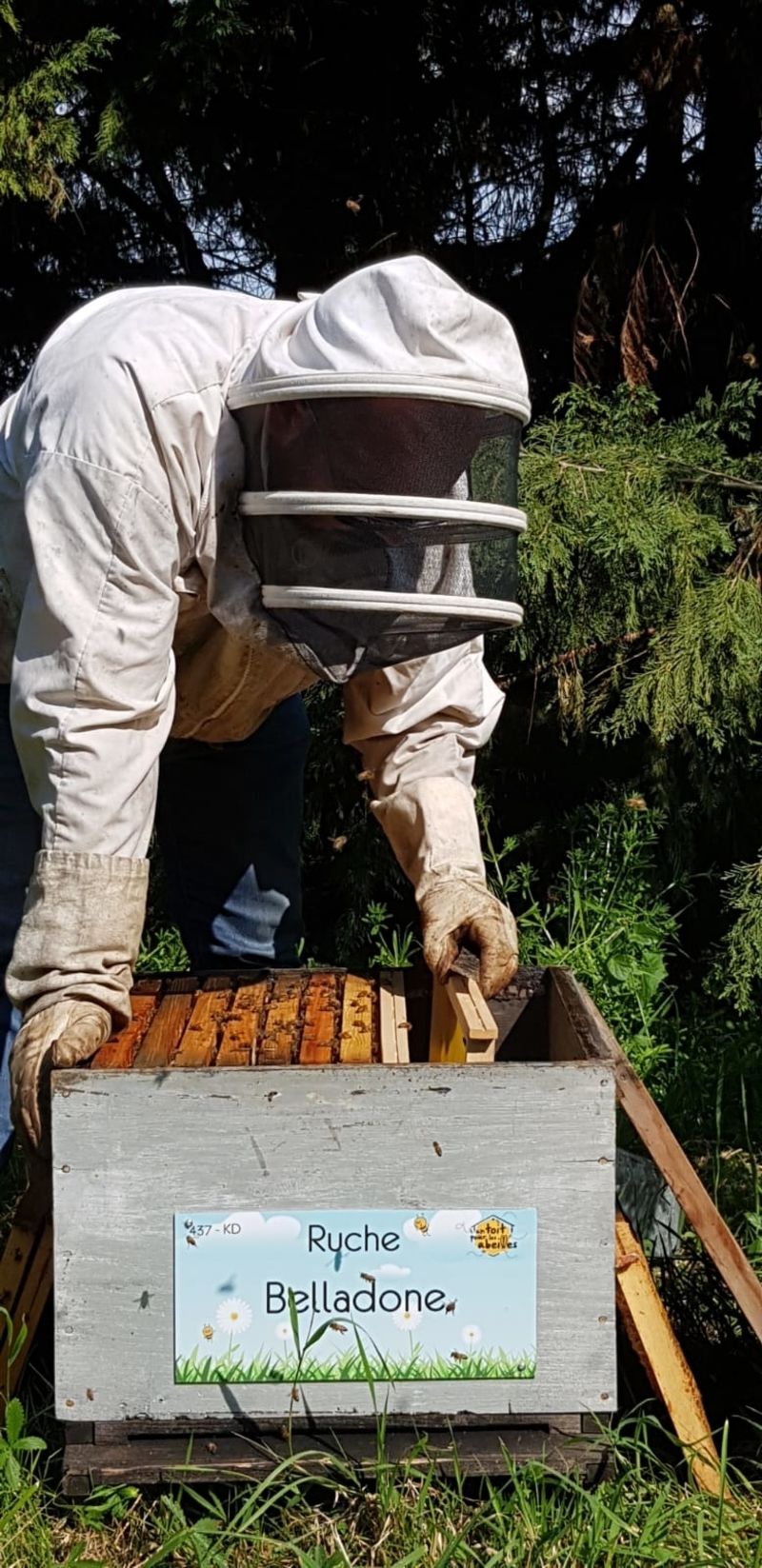 La ruche Belladone
