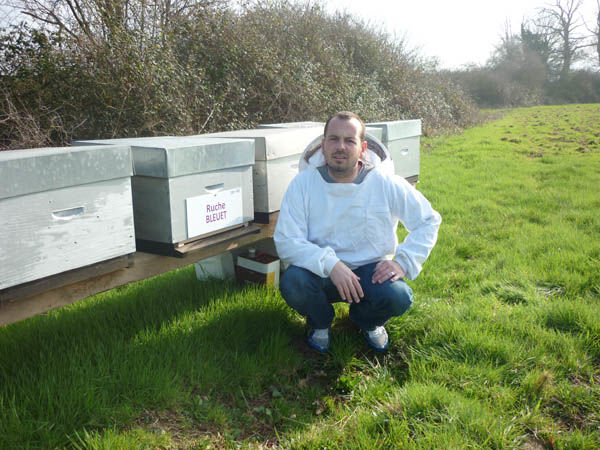 La ruche Bleuet