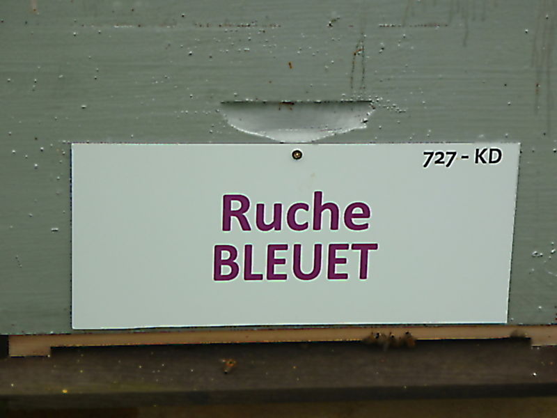 La ruche Bleuet