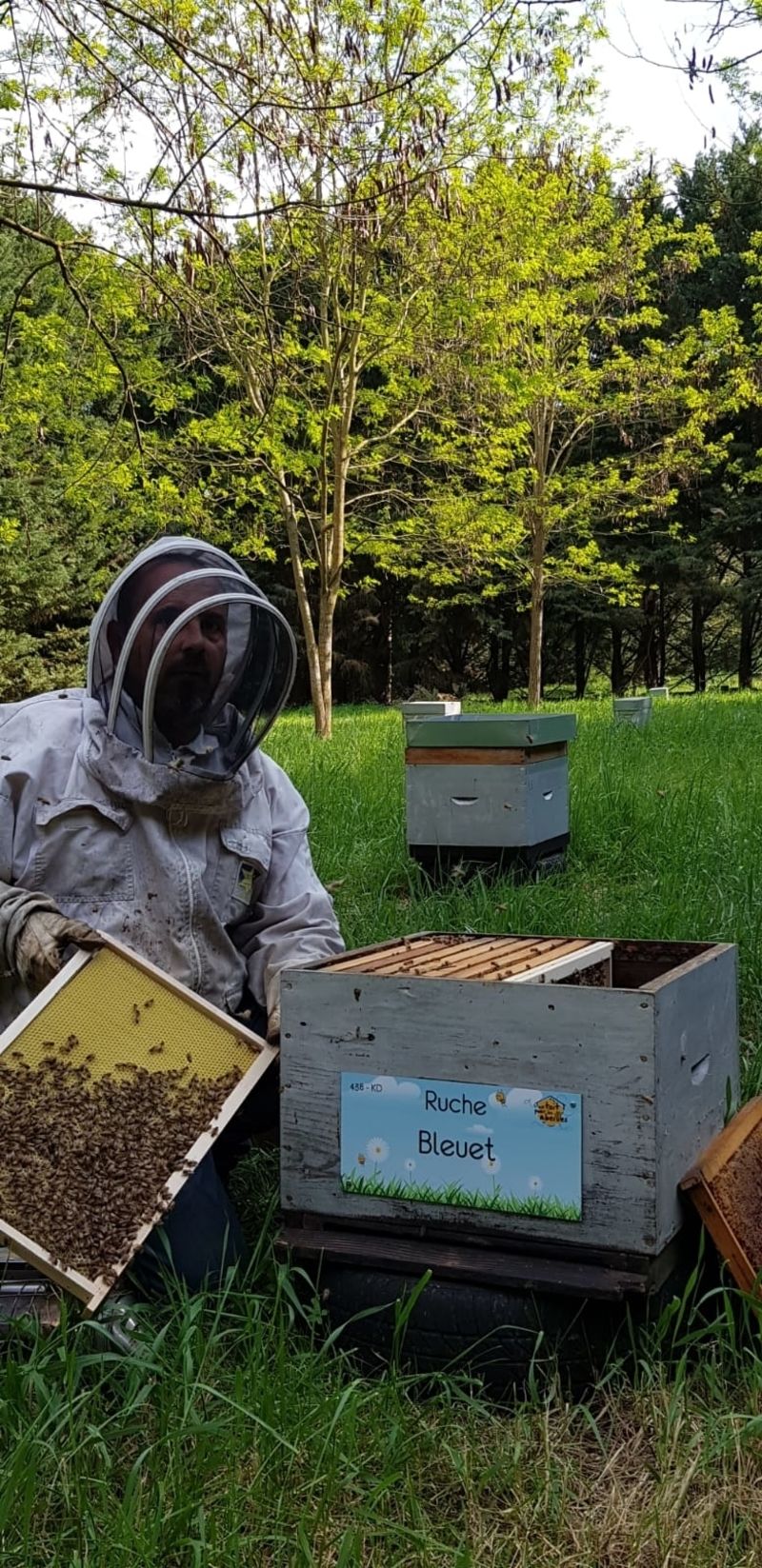 La ruche Bleuet