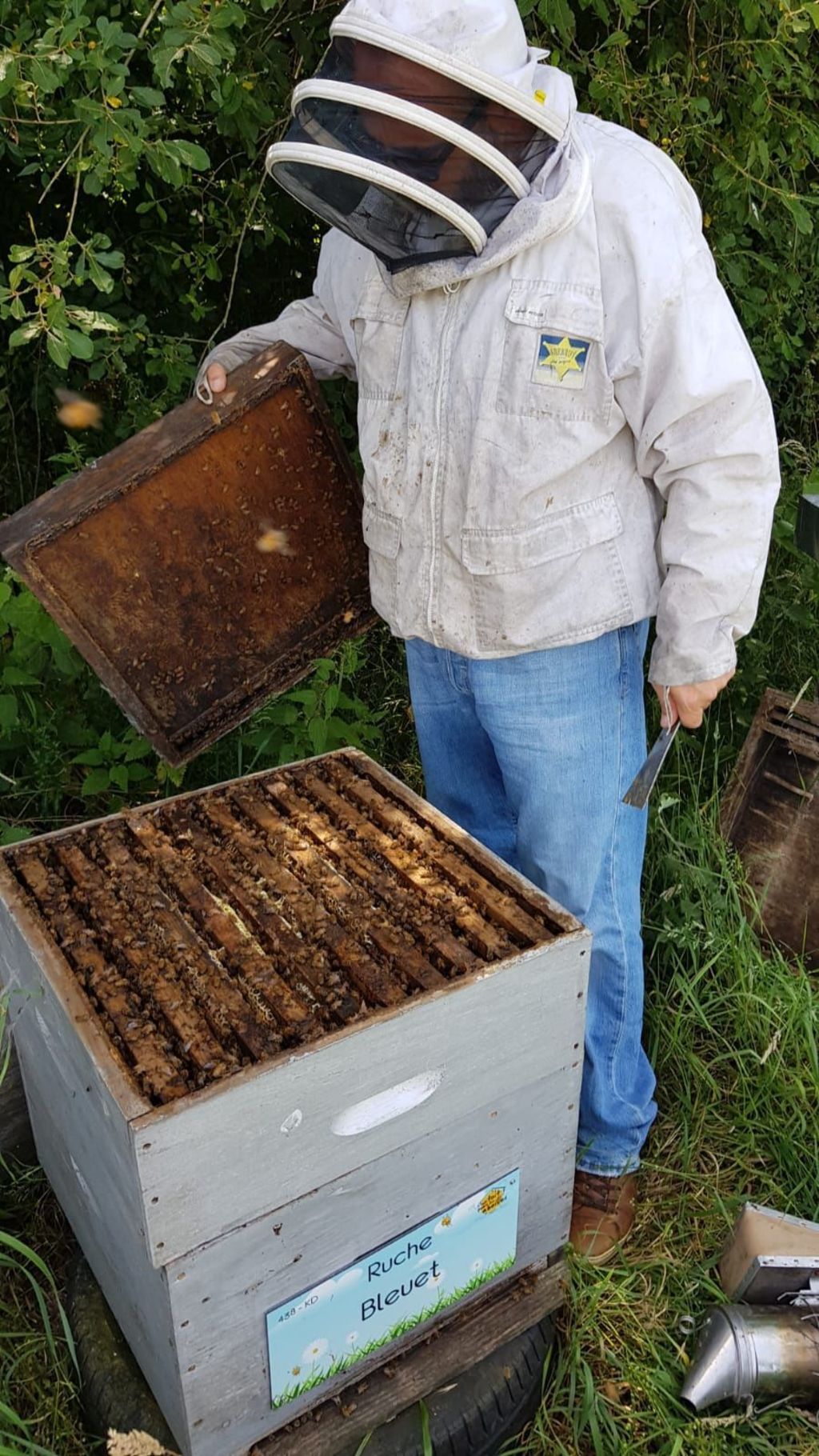 La ruche Bleuet