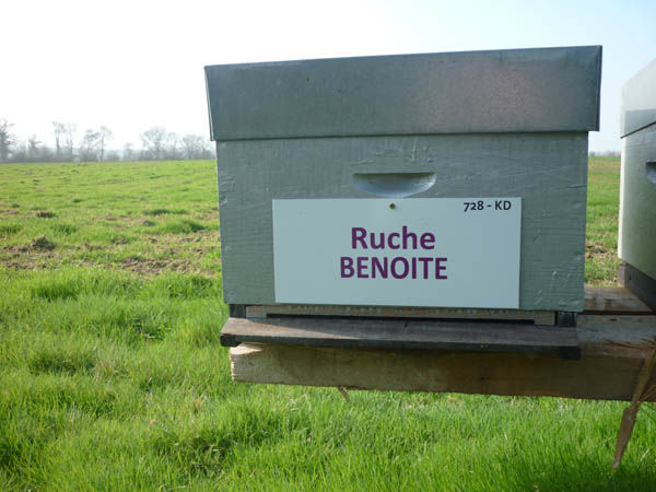 La ruche Benoite