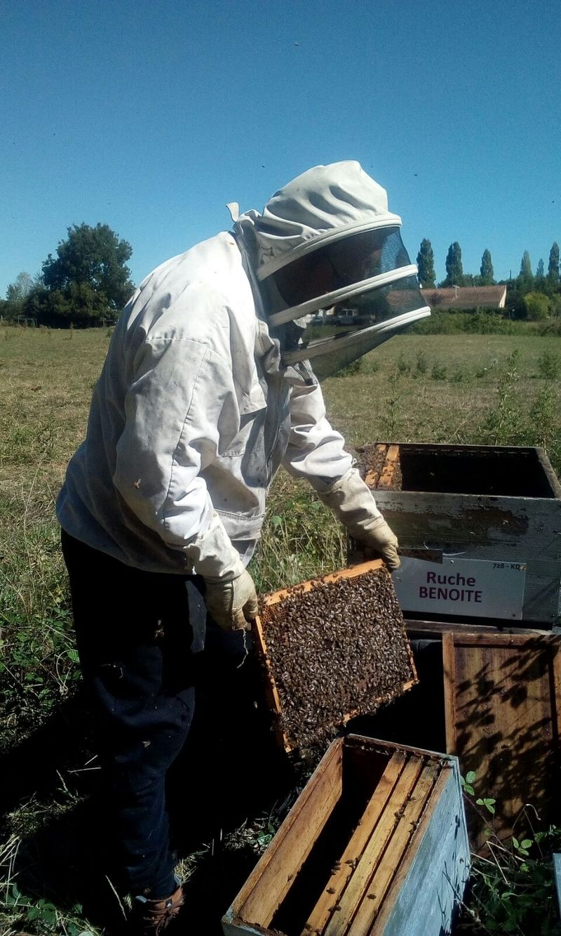 La ruche Benoite