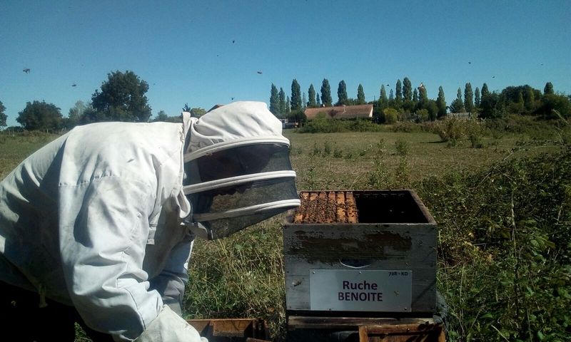La ruche Benoite