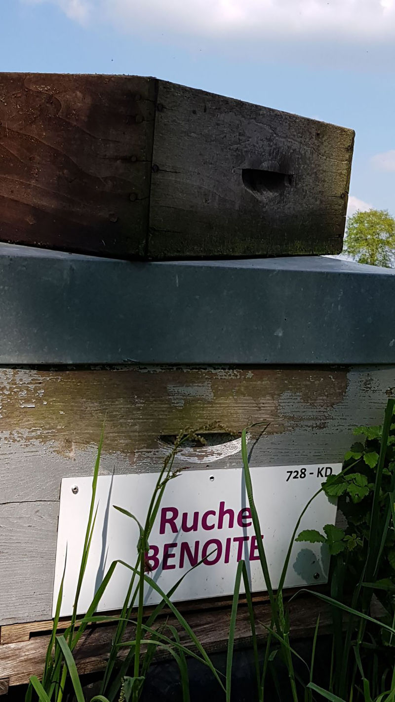 La ruche Benoite