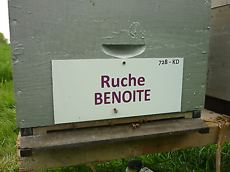 La ruche Benoite