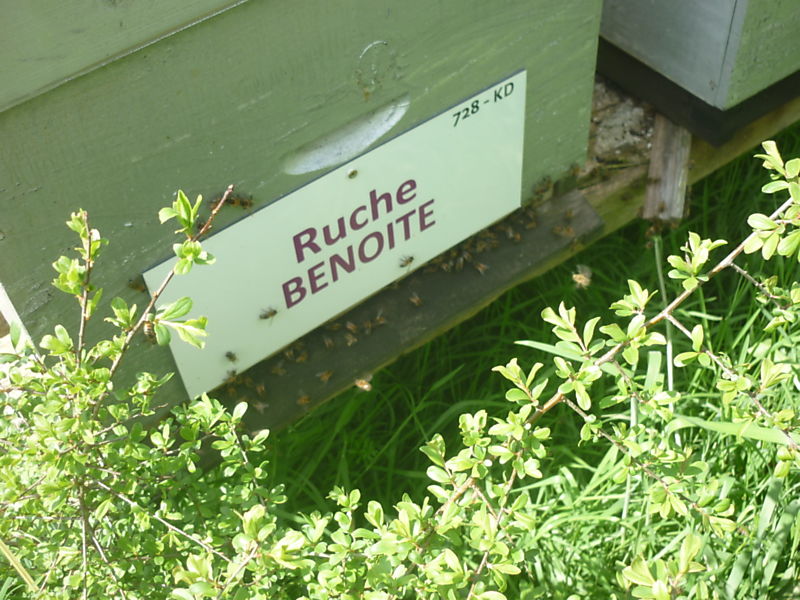 La ruche Benoite