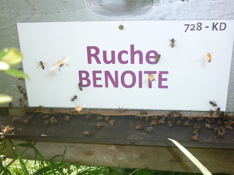 La ruche Benoite