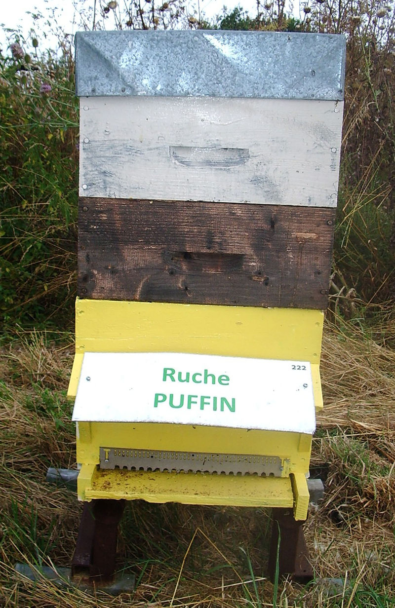 La ruche Puffin