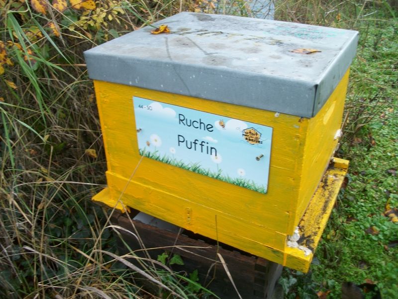 La ruche Puffin