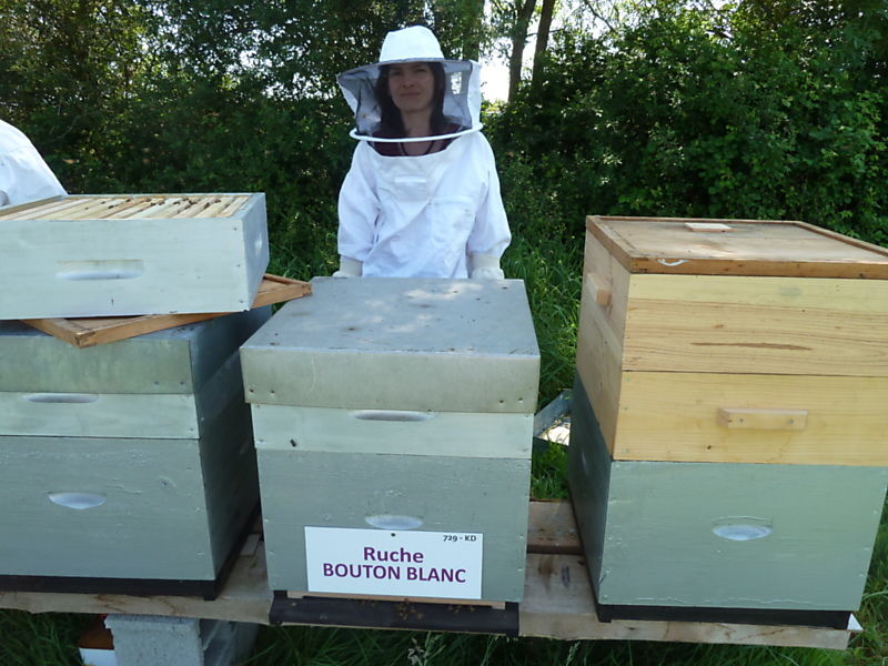 La ruche Bouton blanc