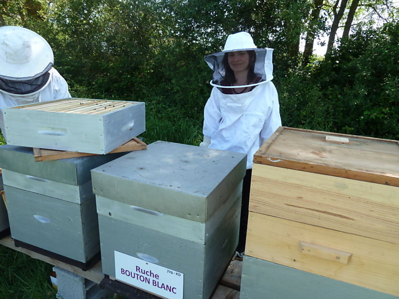 La ruche Bouton blanc