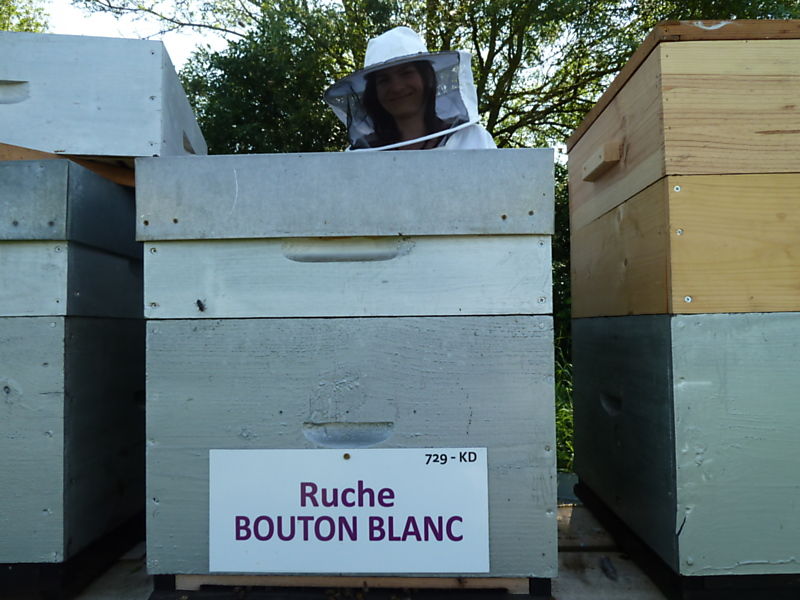 La ruche Bouton blanc