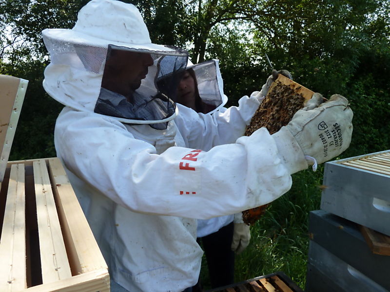 La ruche Bouton blanc