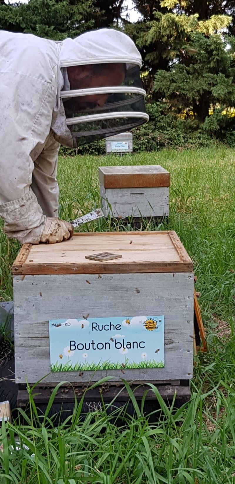 La ruche Bouton blanc