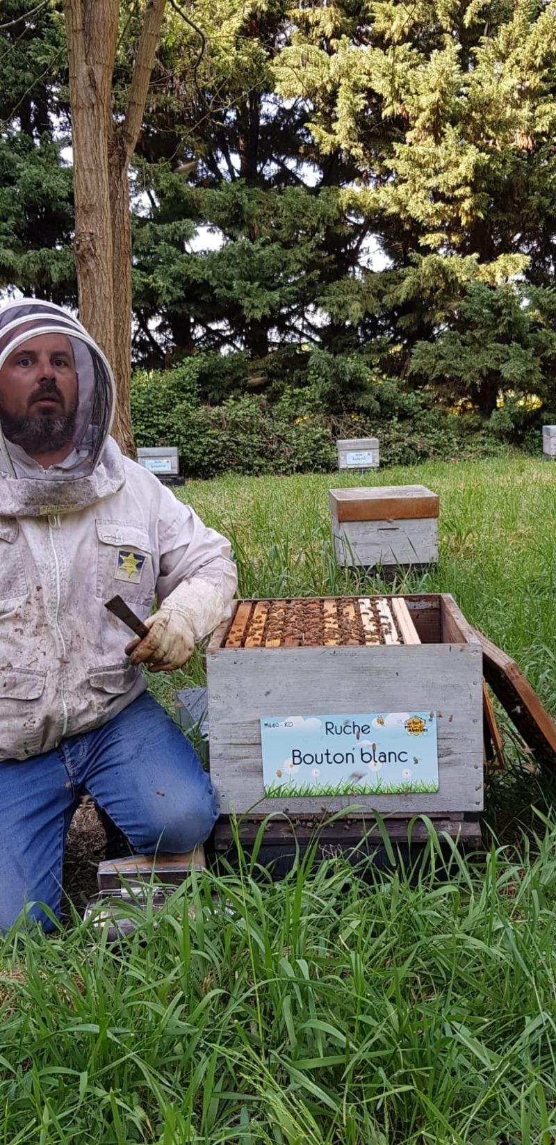 La ruche Bouton blanc