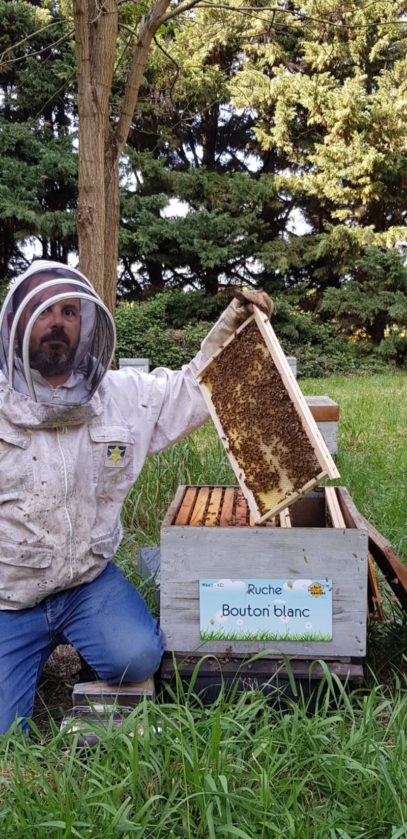 La ruche Bouton blanc