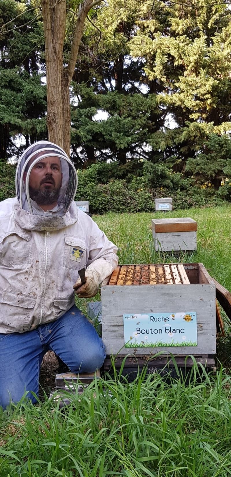 La ruche Bouton blanc