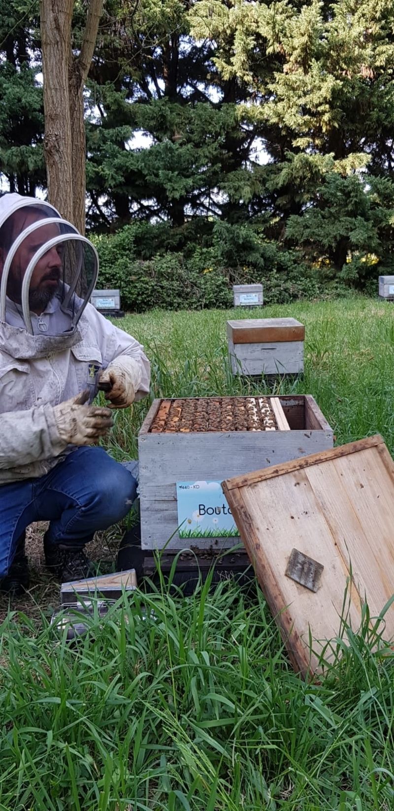 La ruche Bouton blanc
