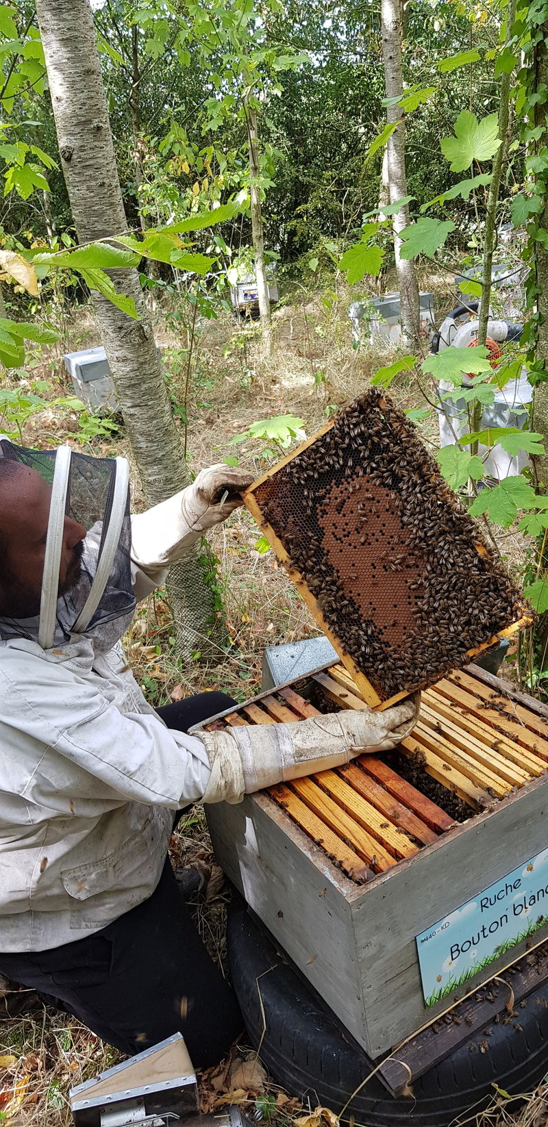 La ruche Bouton blanc