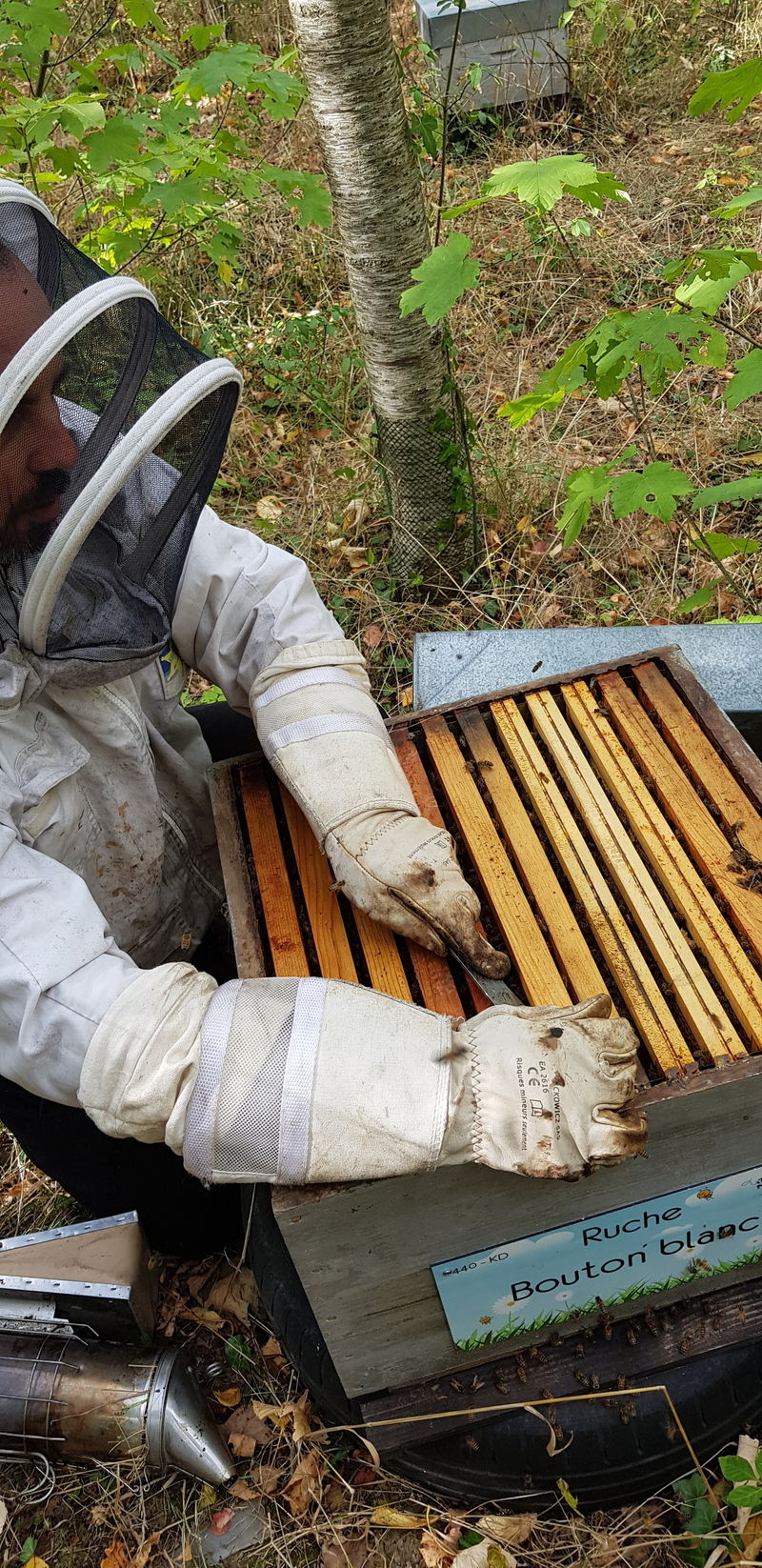 La ruche Bouton blanc