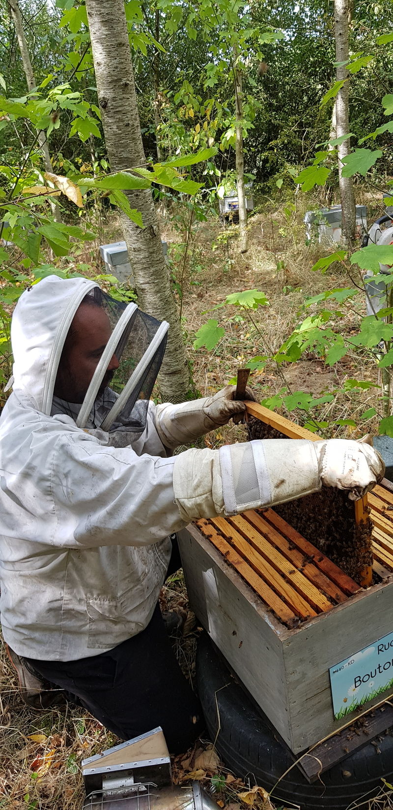 La ruche Bouton blanc