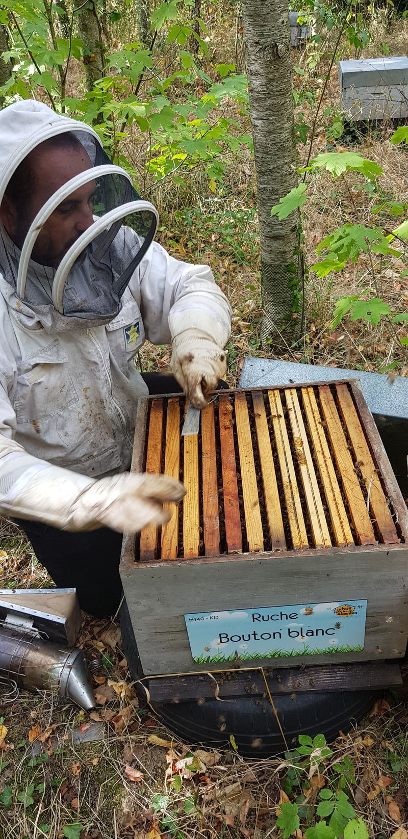 La ruche Bouton blanc