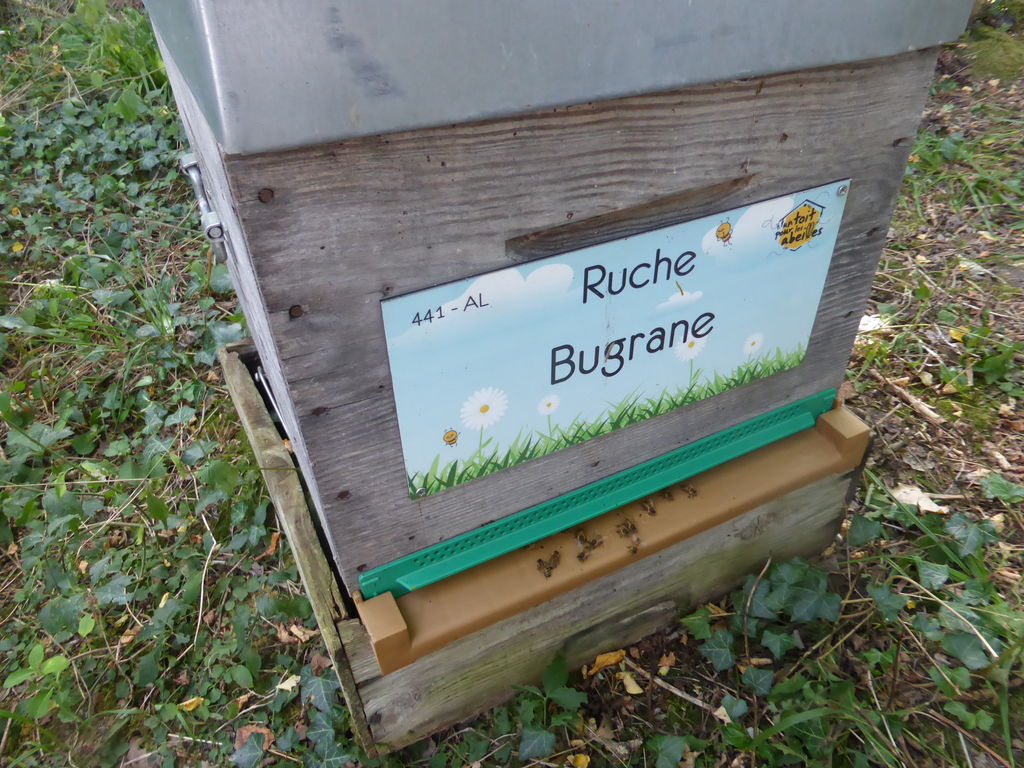 La ruche Bugrane