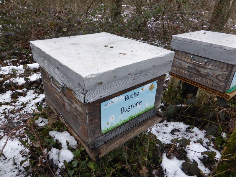 La ruche Bugrane