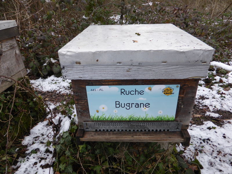 La ruche Bugrane