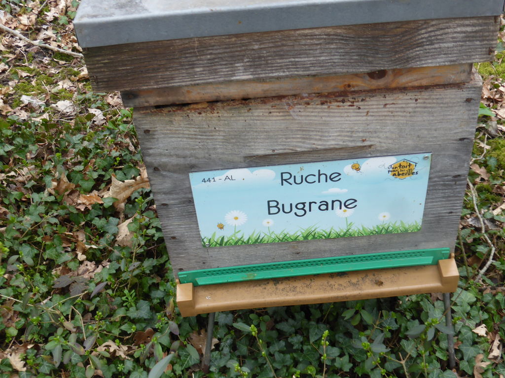 La ruche Bugrane
