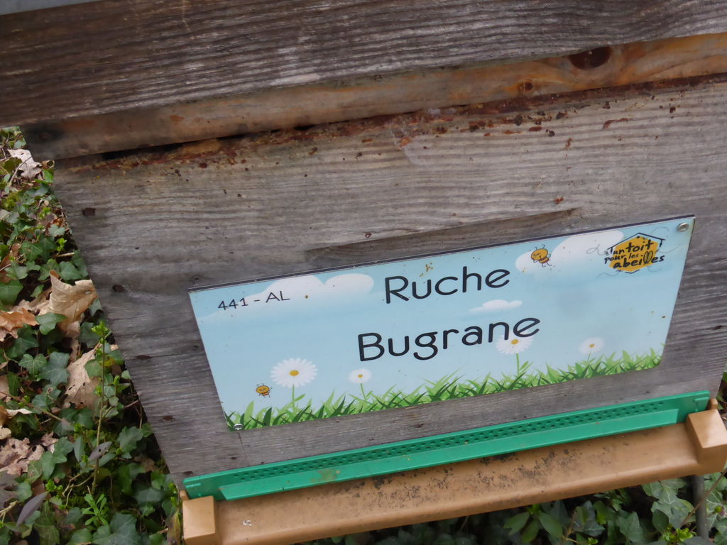 La ruche Bugrane