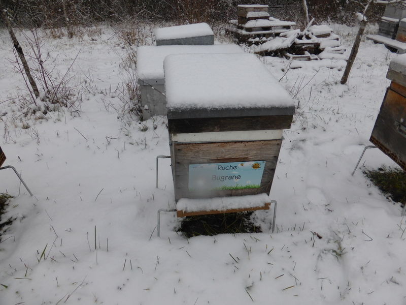 La ruche Bugrane