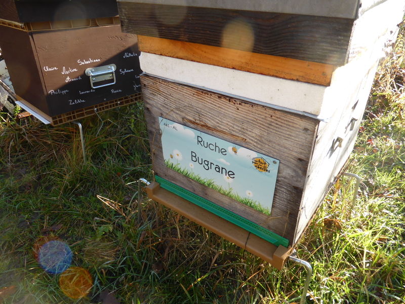 La ruche Bugrane