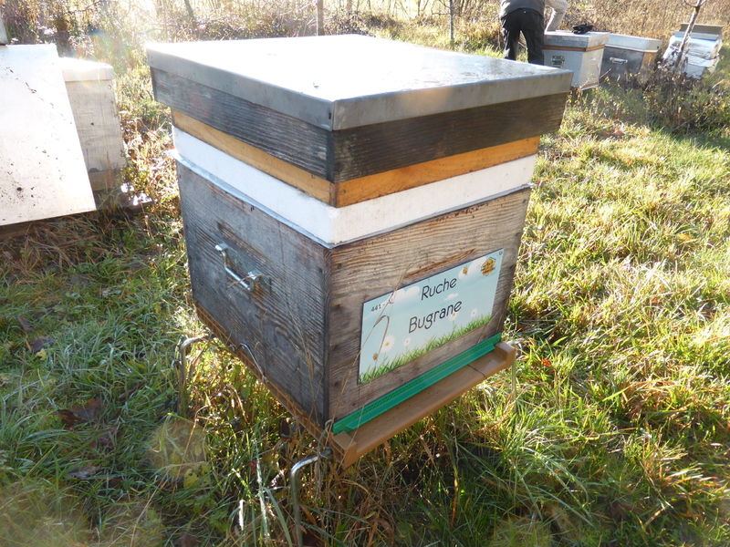 La ruche Bugrane