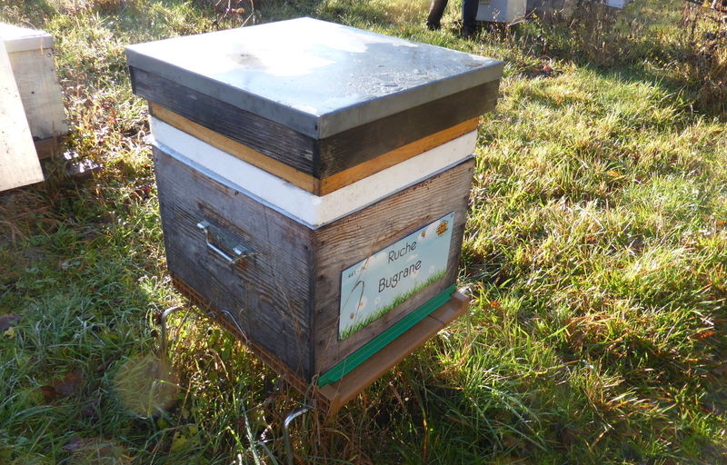 La ruche Bugrane