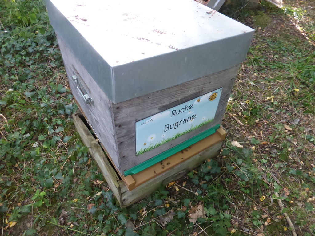 La ruche Bugrane