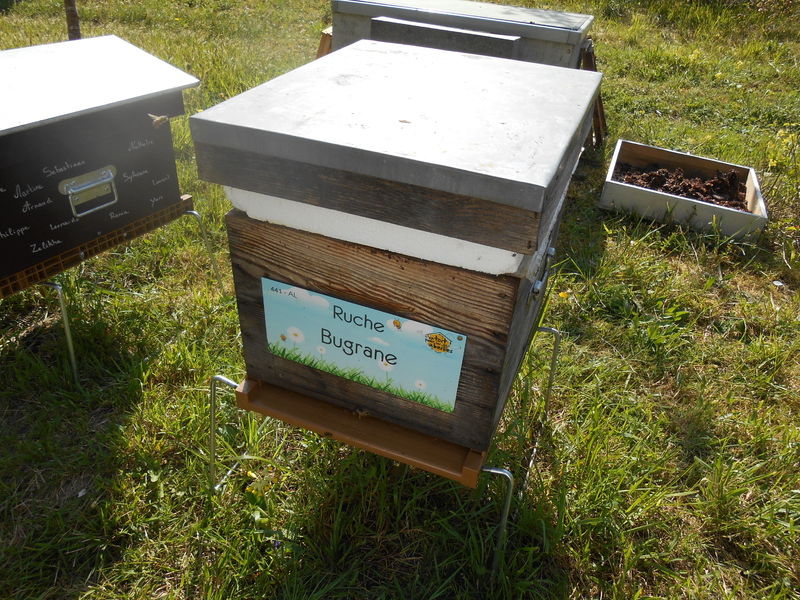 La ruche Bugrane