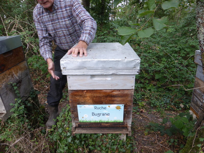 La ruche Bugrane
