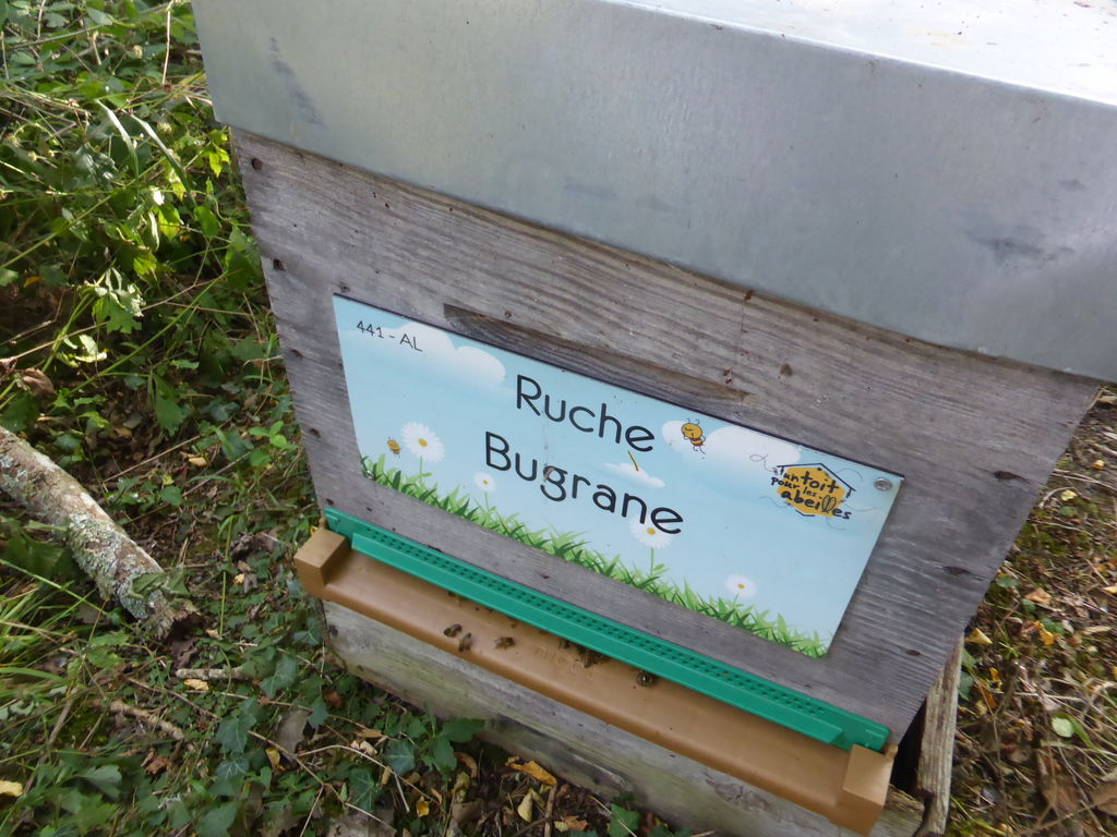La ruche Bugrane