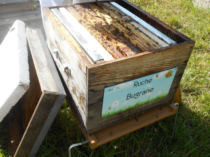 La ruche Bugrane