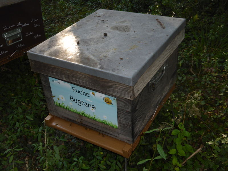 La ruche Bugrane